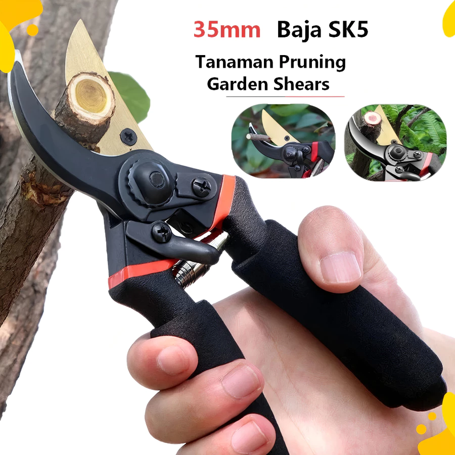 Bibit Cabe Kriting Unggul Tahan Virus STARTOP Bibit Cabe Kriting Merah isi 10 grm panen 75 hari